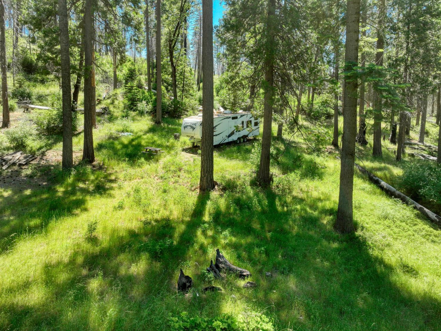 Land in Shaver Lake