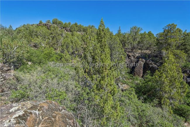 View of woods | Image 13