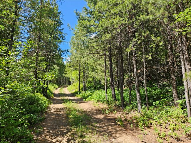 14463 Libby Creek Rd, Home with 0 bedrooms, 0 bathrooms and null parking in Libby MT | Image 10