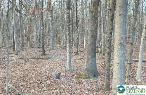 1723-6 Occonquan Trail, Penn Forest Twp, PA, 18210 | Card Image