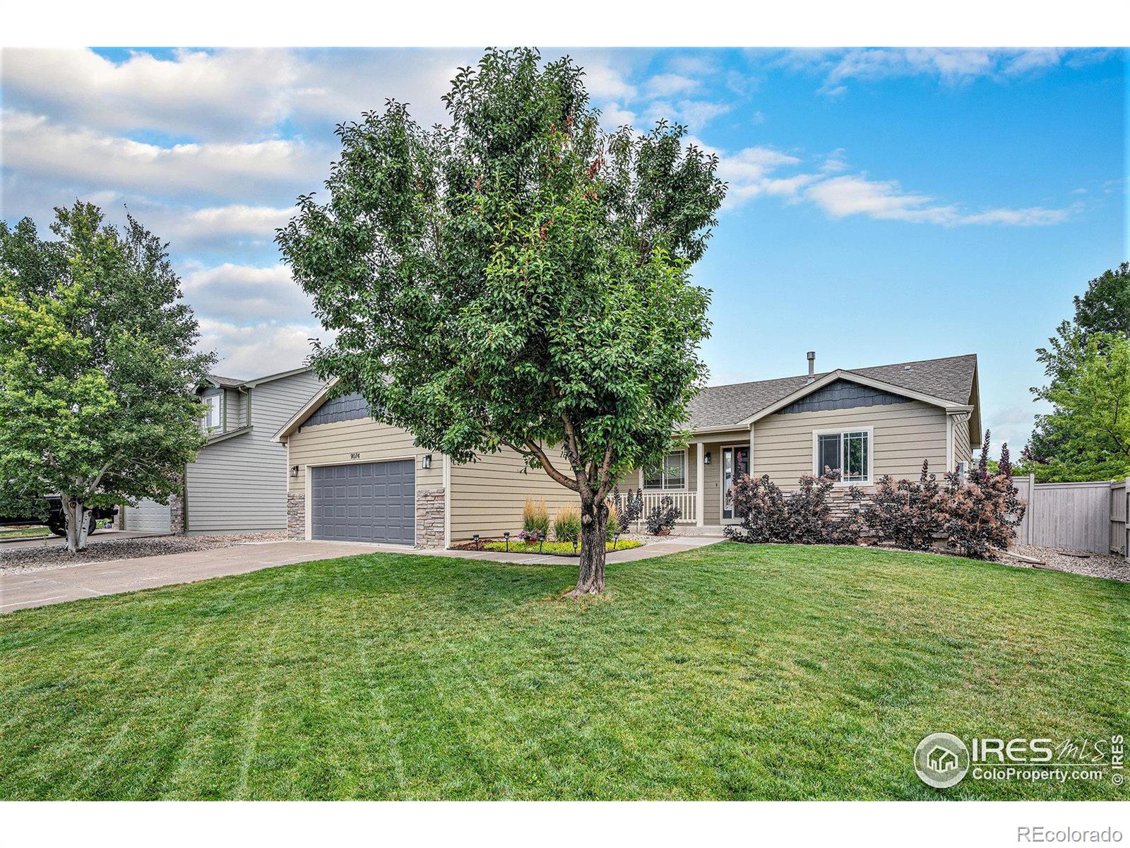 Trailhead Ln, Wellington, CO 80549