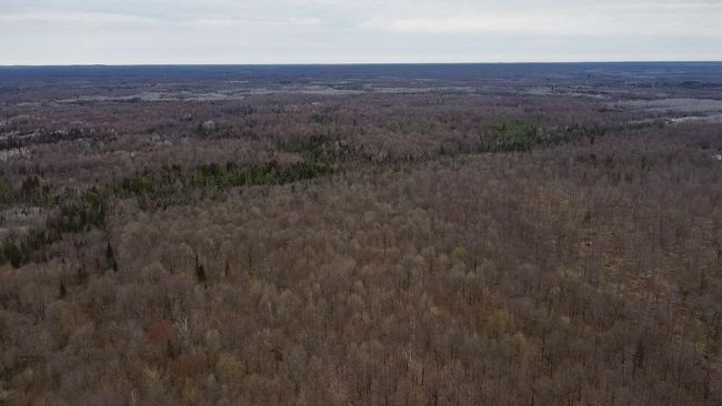 W10236 County Road M, Home with 0 bedrooms, 0 bathrooms and null parking in Merrill WI | Image 39