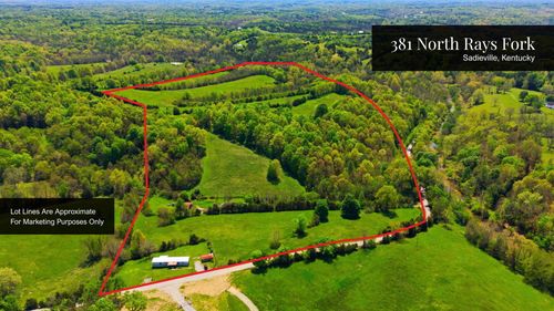 381 N Rays Fork Road, Sadieville, KY, 40370 | Card Image