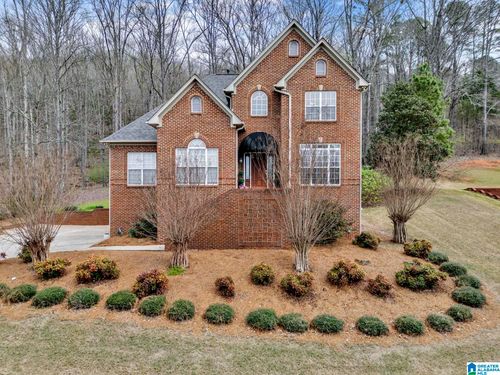 973 Macdonald Lake Rd, SPRINGVILLE, AL, 35146-3850 | Card Image