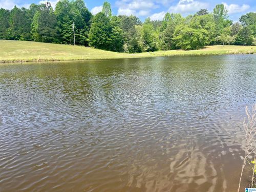6-Lot 6 Mary Dr, ROANOKE, AL, 36274 | Card Image