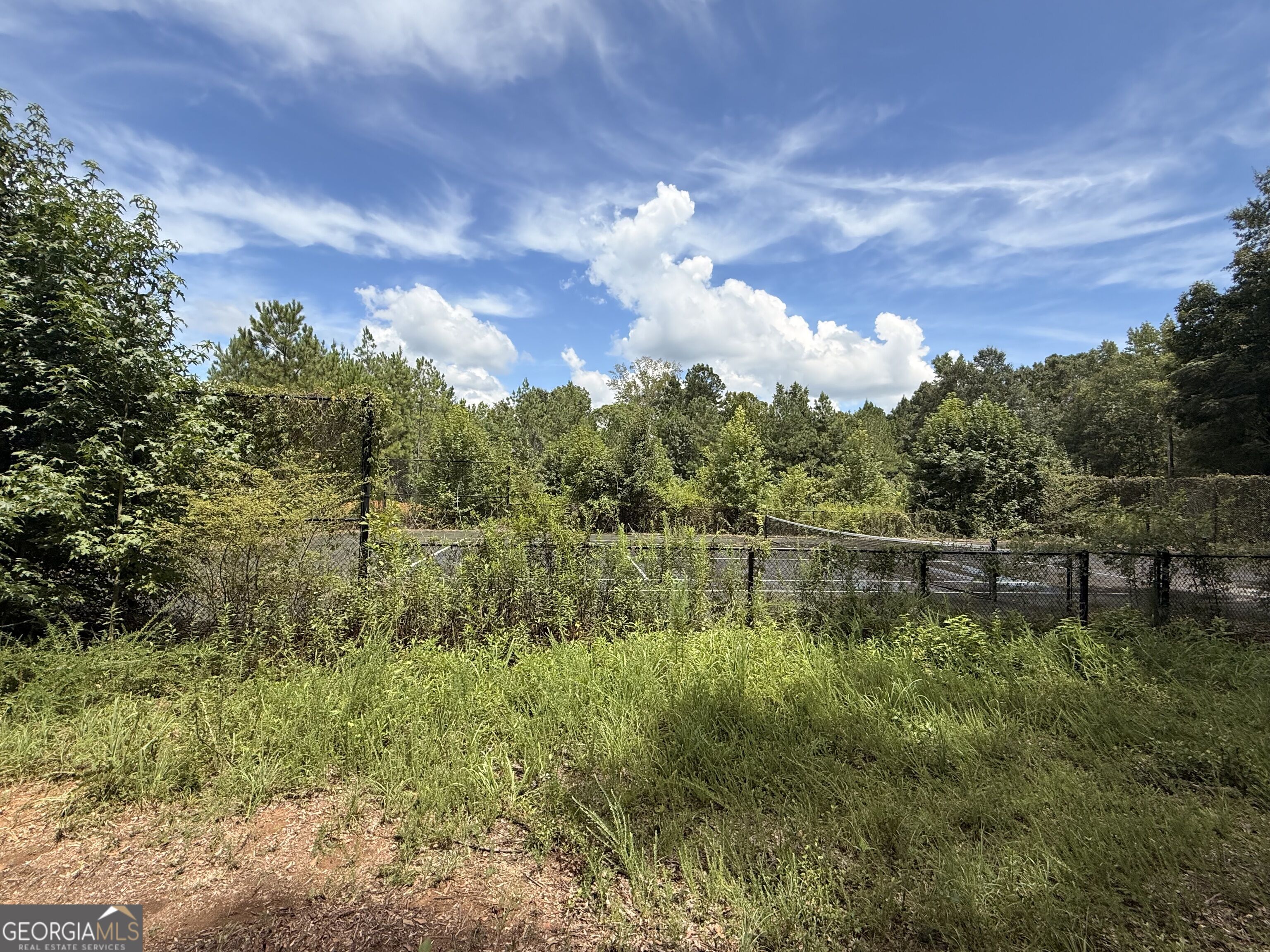 Land in Macon 5