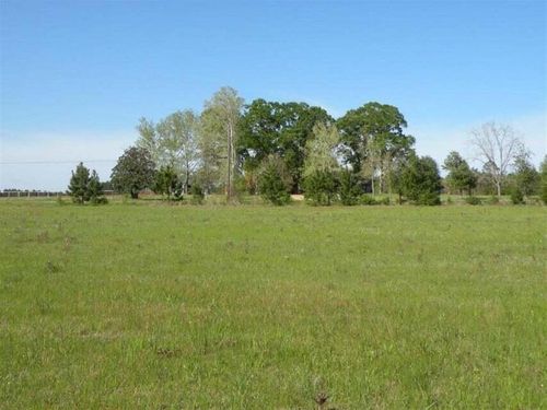 TBD Highway 121, Hineston, LA, 71438 | Card Image