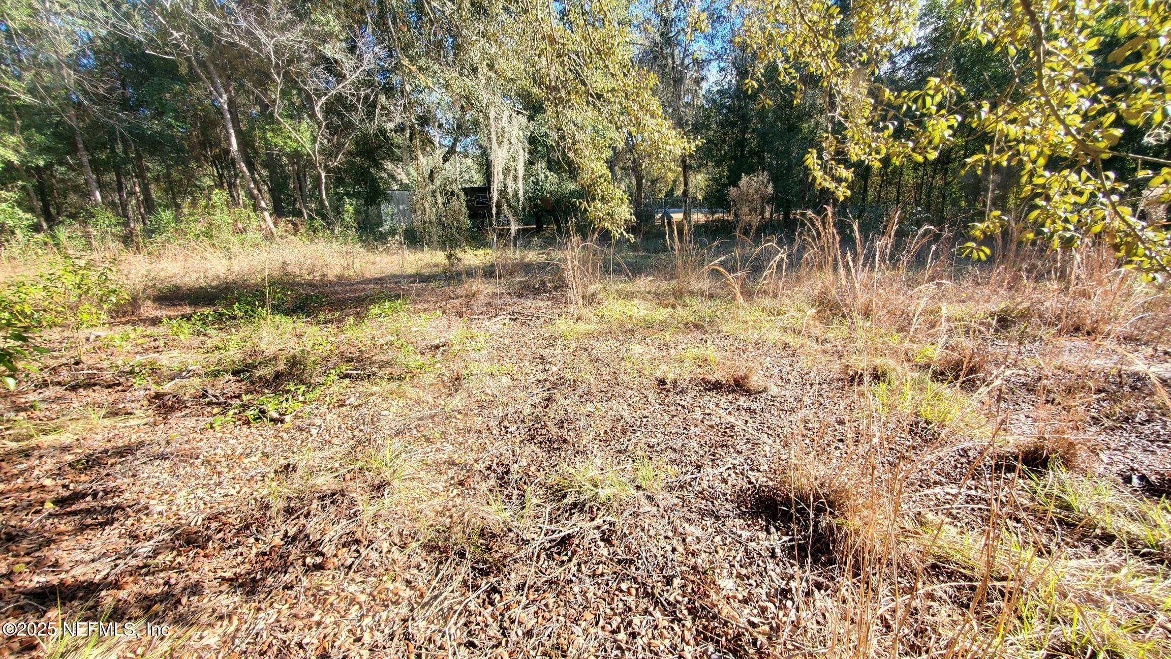 Land in Interlachen 5