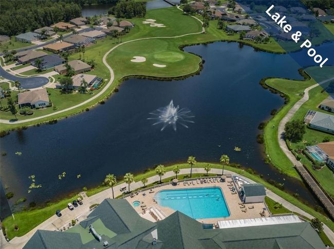1809 Arbor Knoll Loop, House other with 3 bedrooms, 2 bathrooms and null parking in TRINITY FL | Image 44