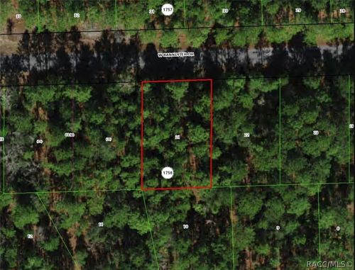 910 W Bannister Drive, Citrus Springs, FL, 34434 | Card Image