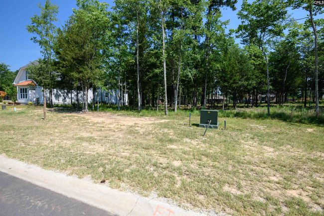 812 Elms Spinney Ln, Home with 0 bedrooms, 0 bathrooms and null parking in Chapin SC | Image 9
