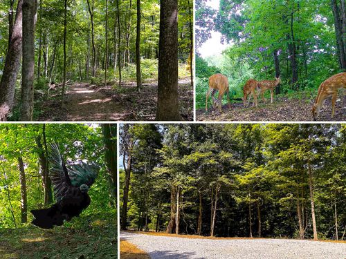 tract-2-at-titus-32254 Titus Rd, Langsville, OH, 45741-3501 | Card Image