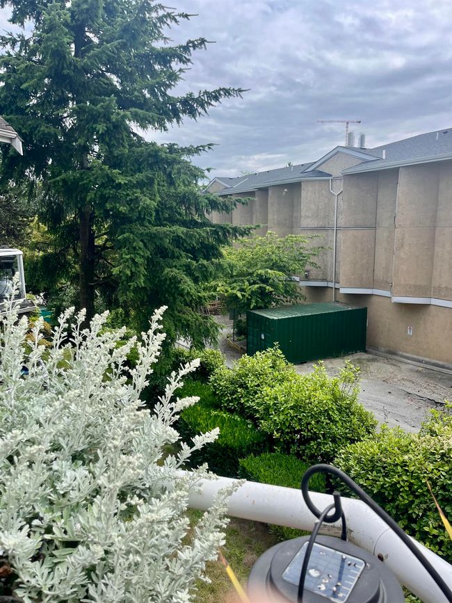 View of yard | Image 32