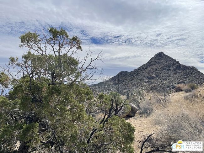 0 Desert Calico, Home with 0 bedrooms, 0 bathrooms and null parking in Mountain Center CA | Image 25