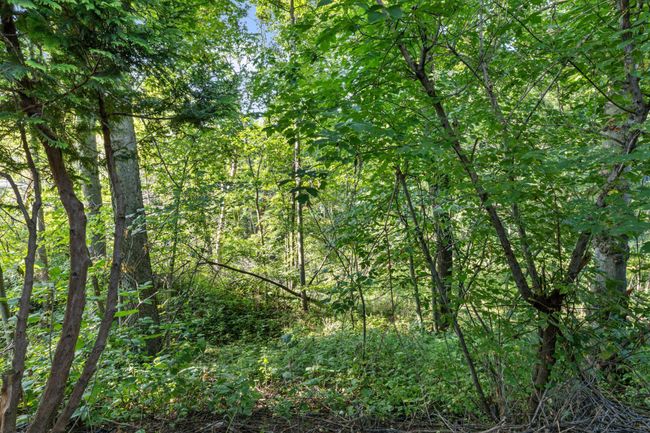 Another Back Yard View | Image 24