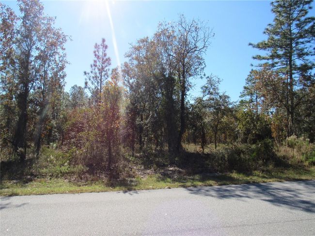 Available Now!!!..Gorgeous One-Acre Site On Paved Road In Beautiful Rainbow Lakes Estates In Dunnellon, FL! | Image 3