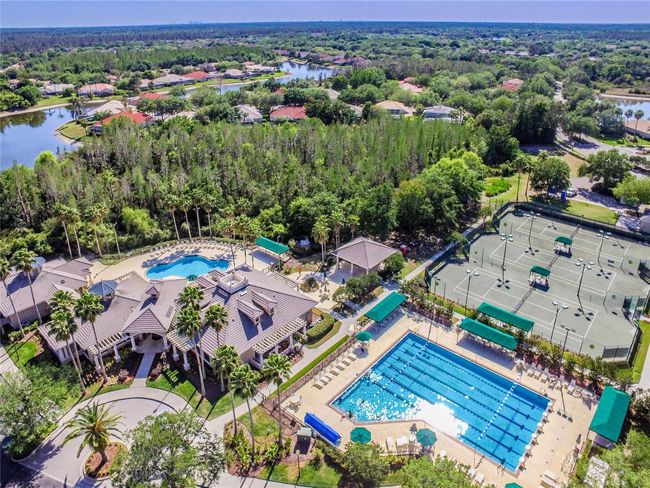 10203 Shadow Branch Dr, House other with 4 bedrooms, 3 bathrooms and null parking in TAMPA FL | Image 57