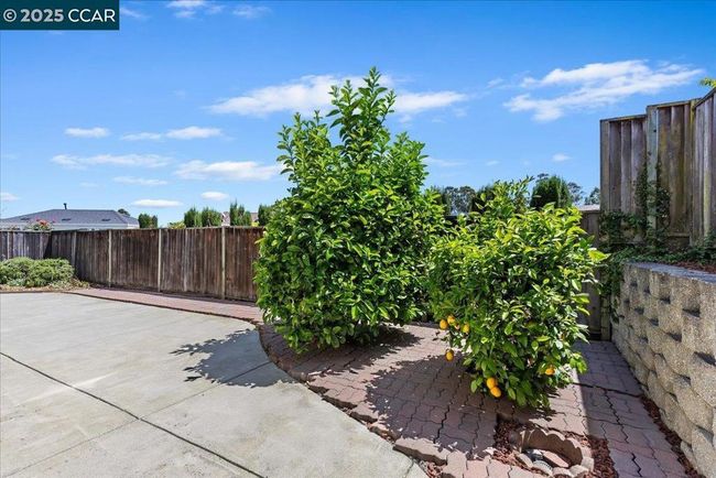 318 Titan Way, House other with 4 bedrooms, 3 bathrooms and 5 parking in Hercules CA | Image 32