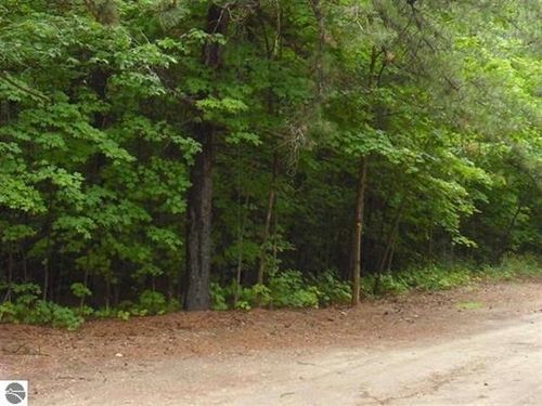 Parcel F4 Jackson Creek Road, Paradise Township, MI, 49649 | Card Image