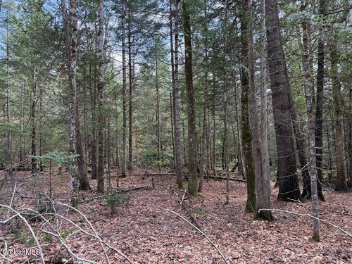 2-L34.2 Old Schroon Rd, Schroon Lake, NY, 12870-2114 | Card Image