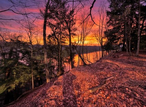 V/L S Teal Lane, Newaygo, MI, 49337 | Card Image