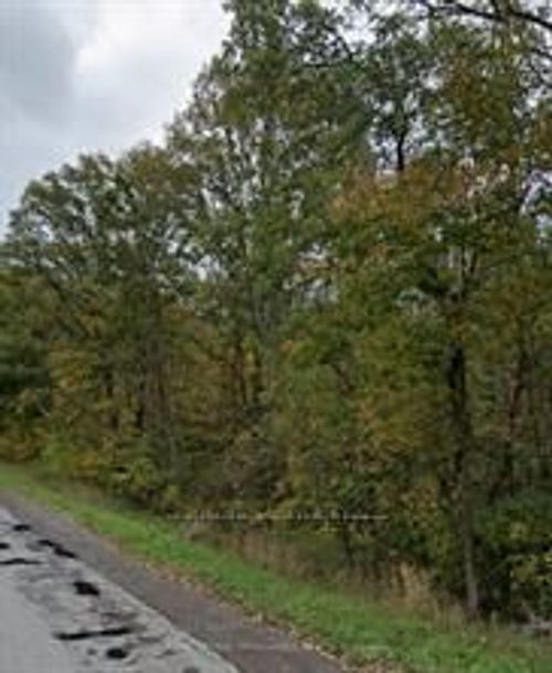 1234 Cooke Rd, Stirling, ON, K0K3E0 | Card Image