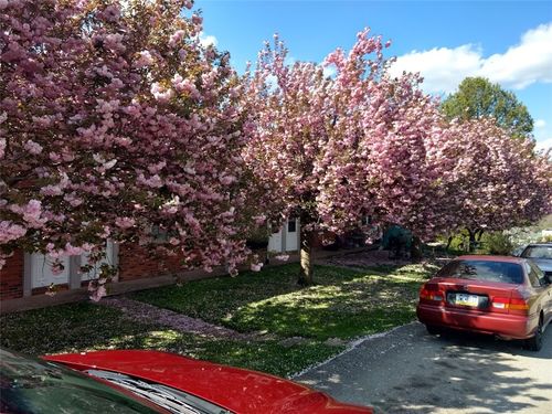 633 American St, California, PA, 15419-1401 | Card Image