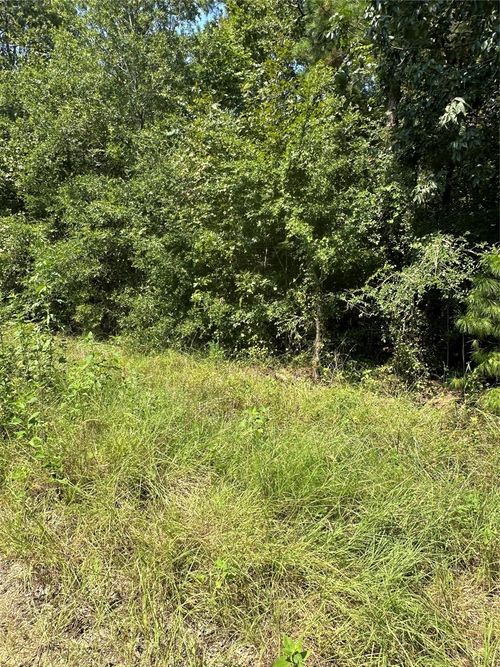 TBD Brazos Dr, Trinity, TX, 75862 | Card Image