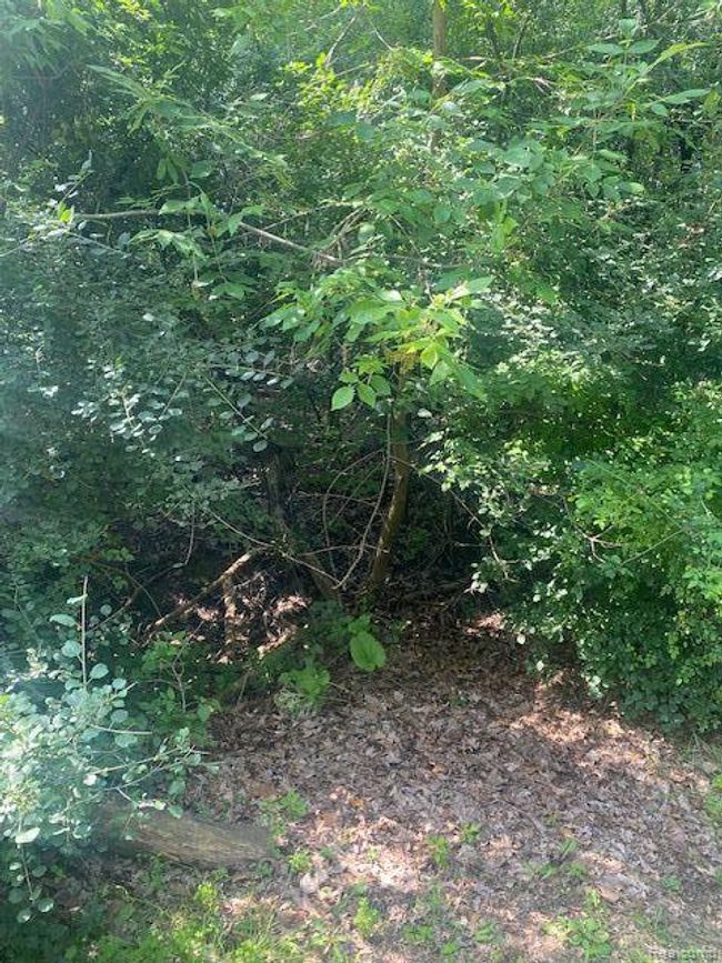 4.8 Acres Westview Road, Home with 0 bedrooms, 0 bathrooms and null parking in Bloomfield Charter Township MI | Image 4
