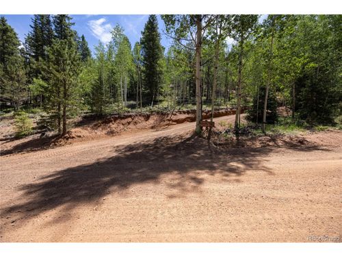 416 Willow Rd, Divide, CO, 80814 | Card Image