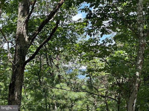 Lot 24 Mt Snow Court, BASYE, VA, 22810 | Card Image
