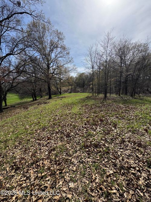 0 Green River Rd, Lake Cormorant, MS, 38641 | Card Image