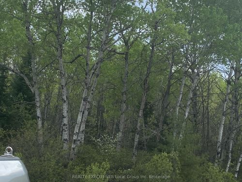 LOT 33 Rutherglen Line, Bonfield, ON, P0H | Card Image