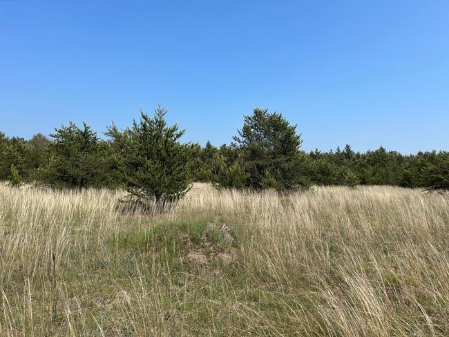 2132 E 56 Th St, Home with 0 bedrooms, 0 bathrooms and null parking in Chase MI | Image 29