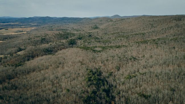 McMillan pic 10 | Image 6