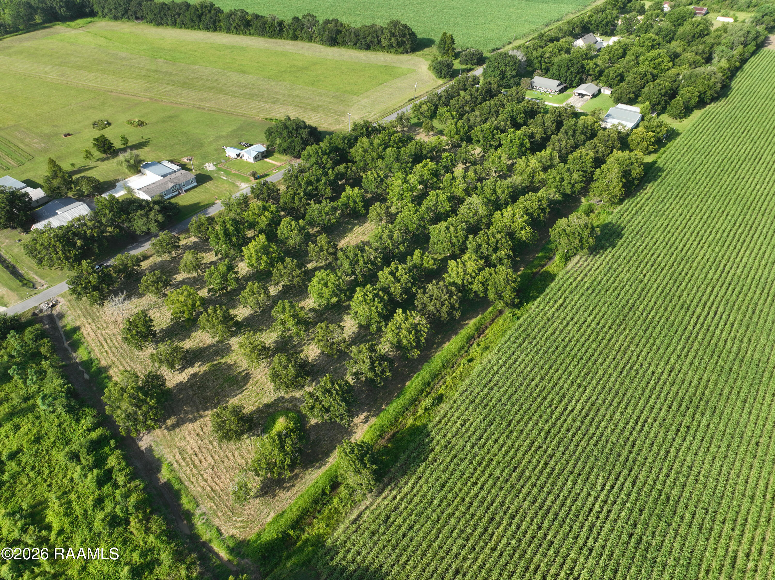 Land in Arnaudville 4
