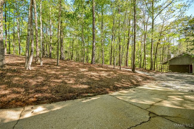 315 Lake Point Dr, House other with 3 bedrooms, 2 bathrooms and null parking in Jackson's Gap AL | Image 43