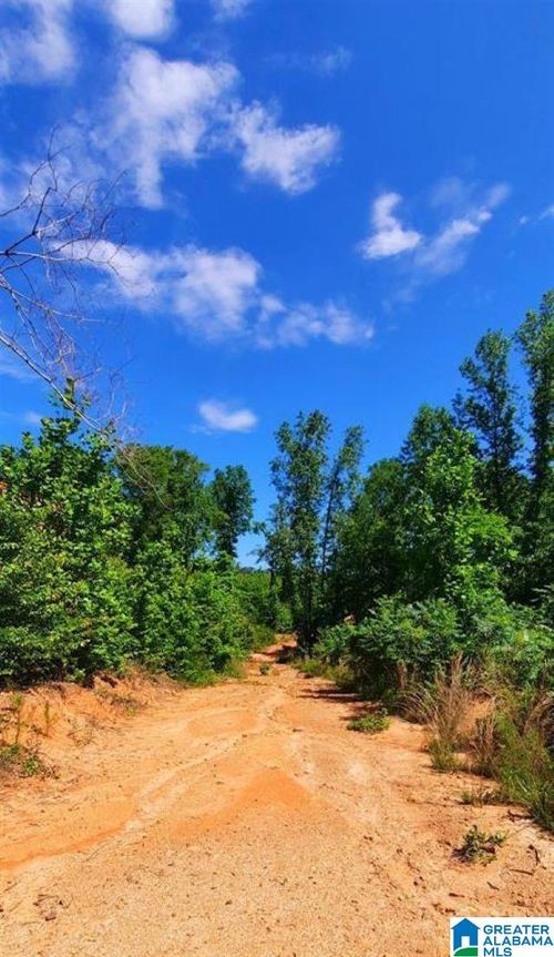 0-20 Acres County Road 123, Wedowee, AL, 36278 | Card Image