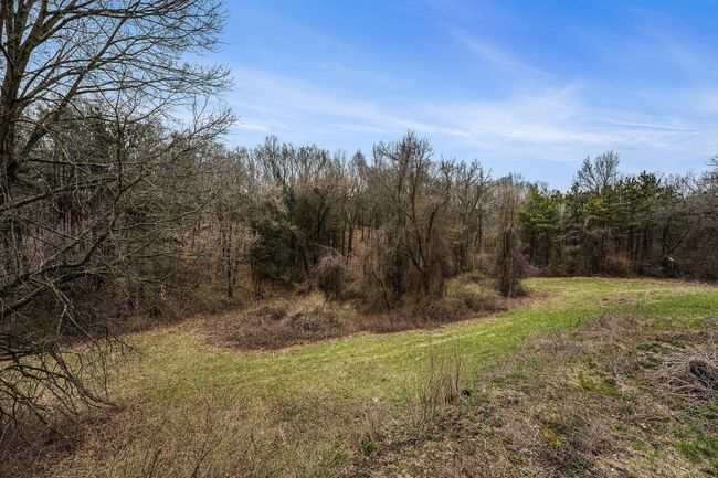 Backyard | Image 23