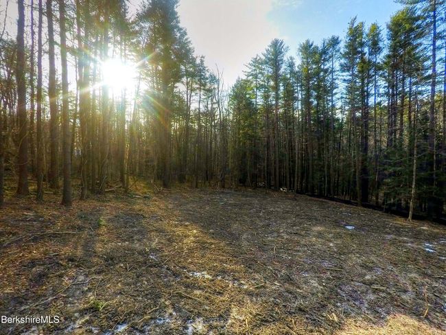 13 Rattlesnake Mtn Rd, Home with 0 bedrooms, 0 bathrooms and null parking in Stockbridge MA | Image 6