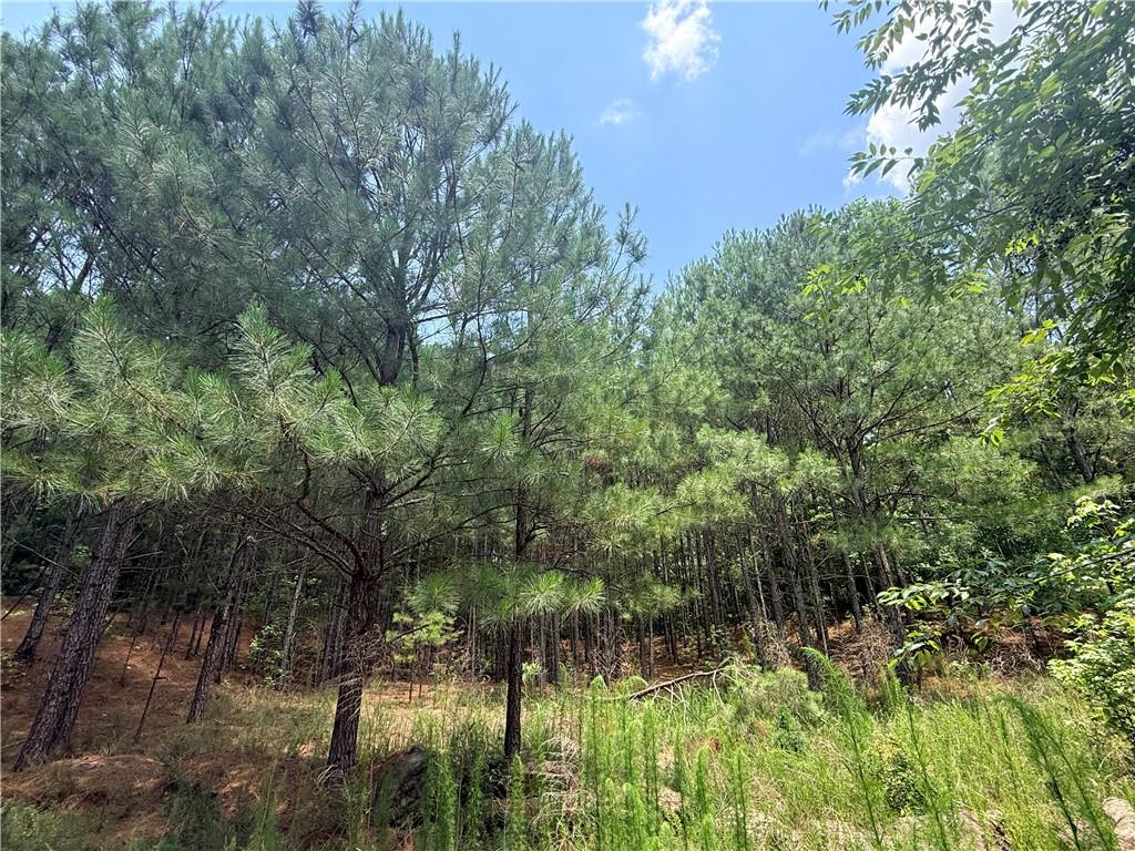 Land in Snellville 2