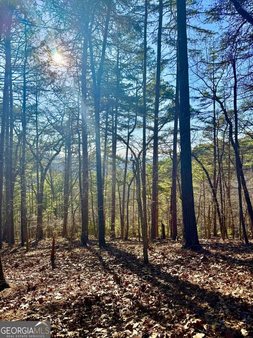 335 Packet Ct Ne, Ranger, GA, 30734 | Card Image