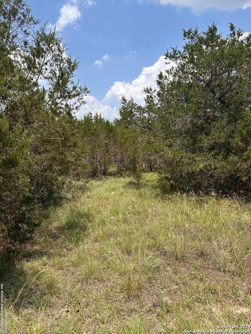 811 Turkey Canyon Dr, Spring Branch, TX, 78070-4519 | Card Image