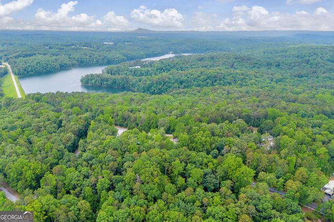2253 Lake Louise Rd, House other with 4 bedrooms, 3 bathrooms and null parking in Toccoa GA | Image 57