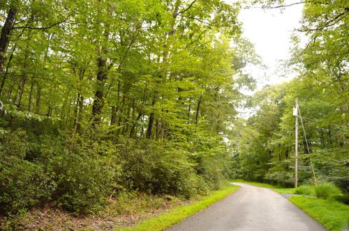 Lot 132 Redwood Dr, Terra Alta, WV, 26764-2748 | Card Image
