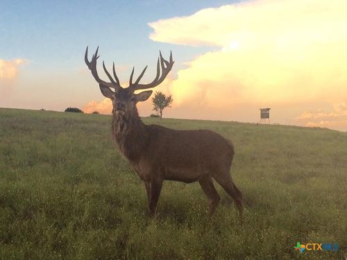 Tract 1 County Road 208, Lampasas, TX, 76550 | Card Image