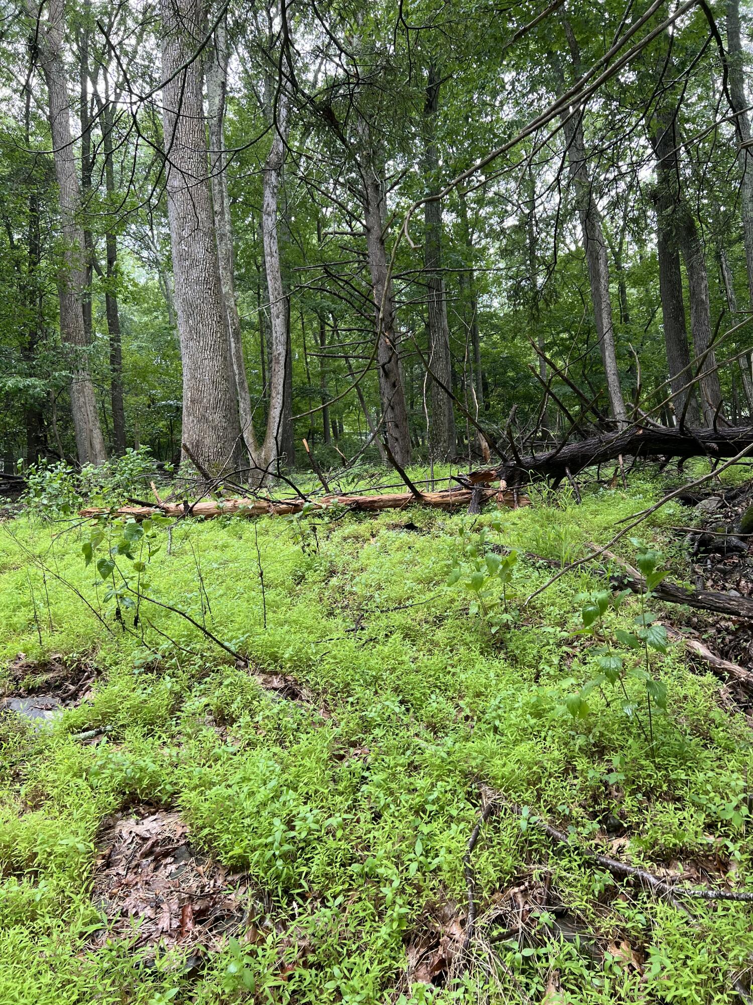 Land in East Stroudsburg 5