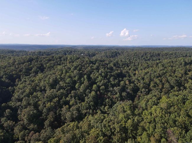 654 Warrior Rd, House other with 1 bedrooms, 1 bathrooms and null parking in Harriet AR | Image 29