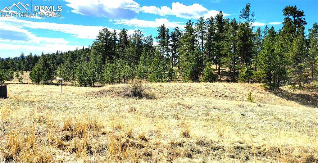 Elk Ln, Guffey, CO 80820