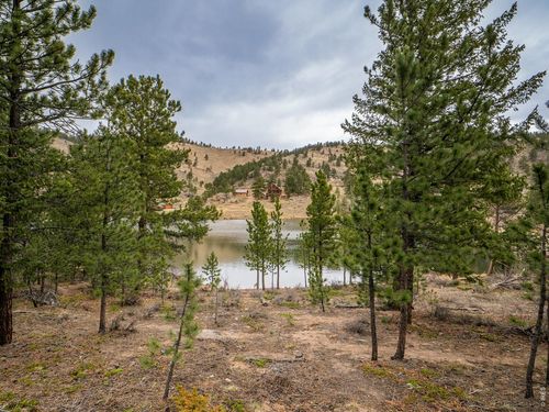 384 Ute Ct, Red Feather Lakes, CO, 80545-8739 | Card Image